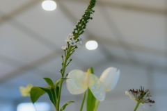 11-DDM-Cocktail-Evening-6