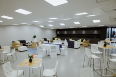 11-DDM-Conference-12