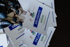 11-DDM-Conference-22