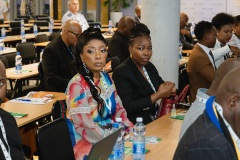 11-DDM-Day-2-Conference-36